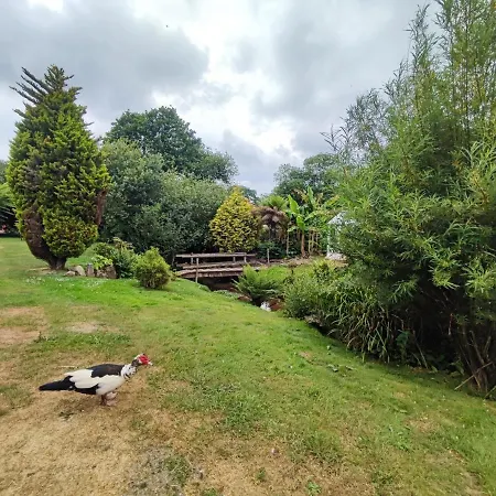 Tree Fern Barn Villa St Austell Exterior photo