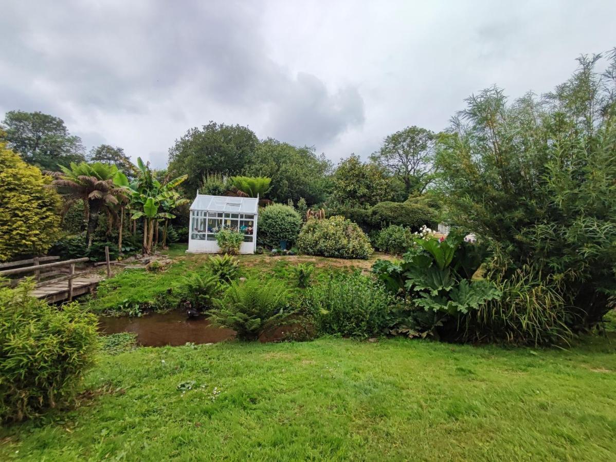 Tree Fern Barn *