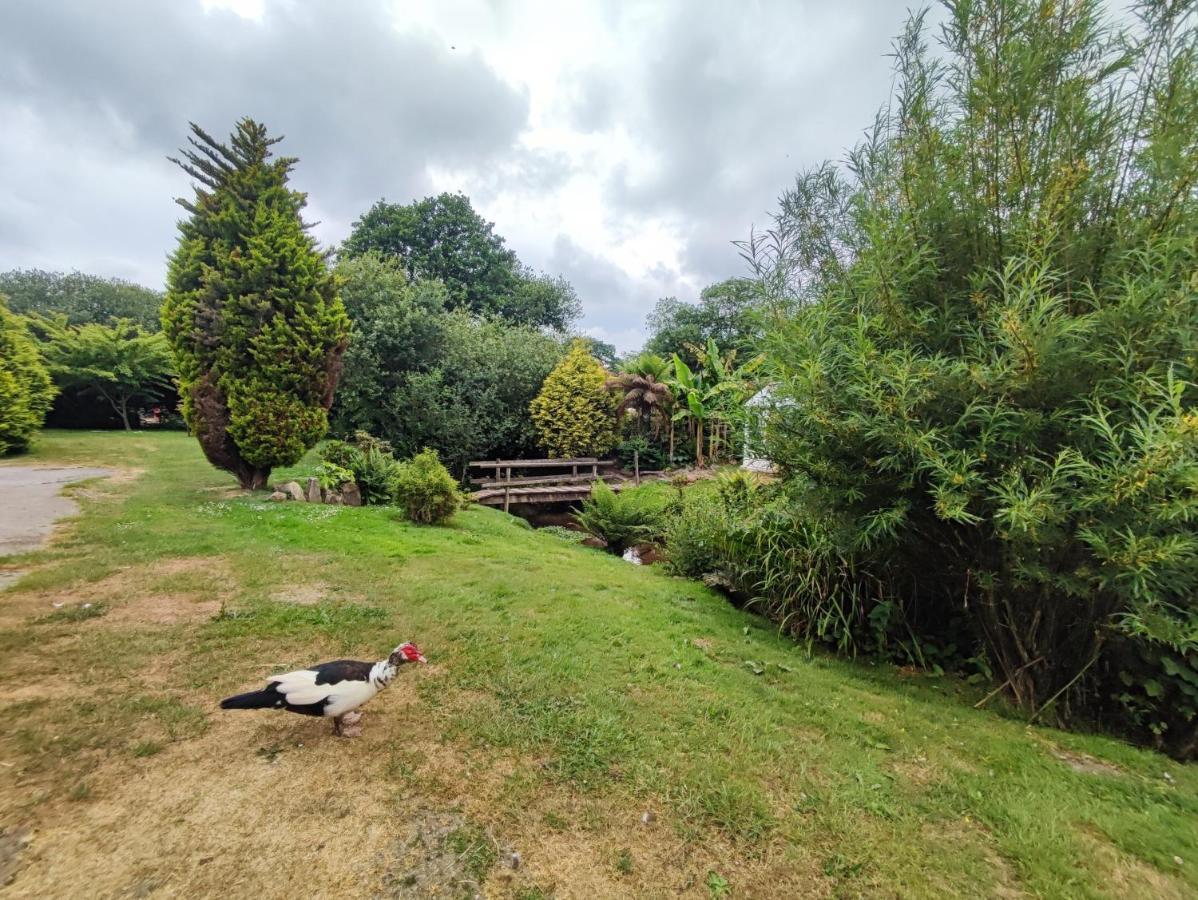 Holiday home Tree Fern Barn St Austell